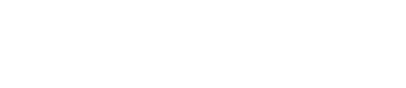 Perplexity