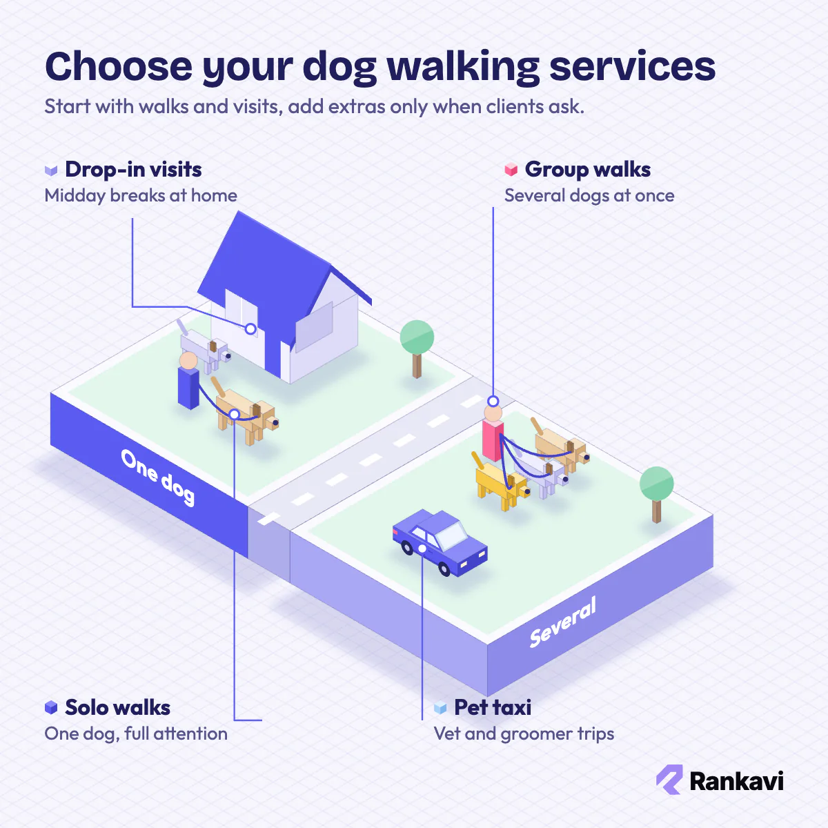 Isometric neighborhood showing solo walks, group walks, drop-in home visits and a pet taxi for a dog walking business